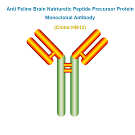 Anti Feline Brain Natriuretic Peptide Precursor Protein (fproBNP)Monoclonal Antibody