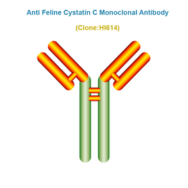 Anti Anti Feline Cystatin C (fCysC) Monoclonal Antibody