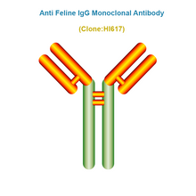 Load image into Gallery viewer, Anti Feline IgG (fIgG) Monoclonal Antibody