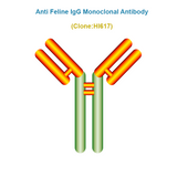 Anti Feline IgG (fIgG) Monoclonal Antibody