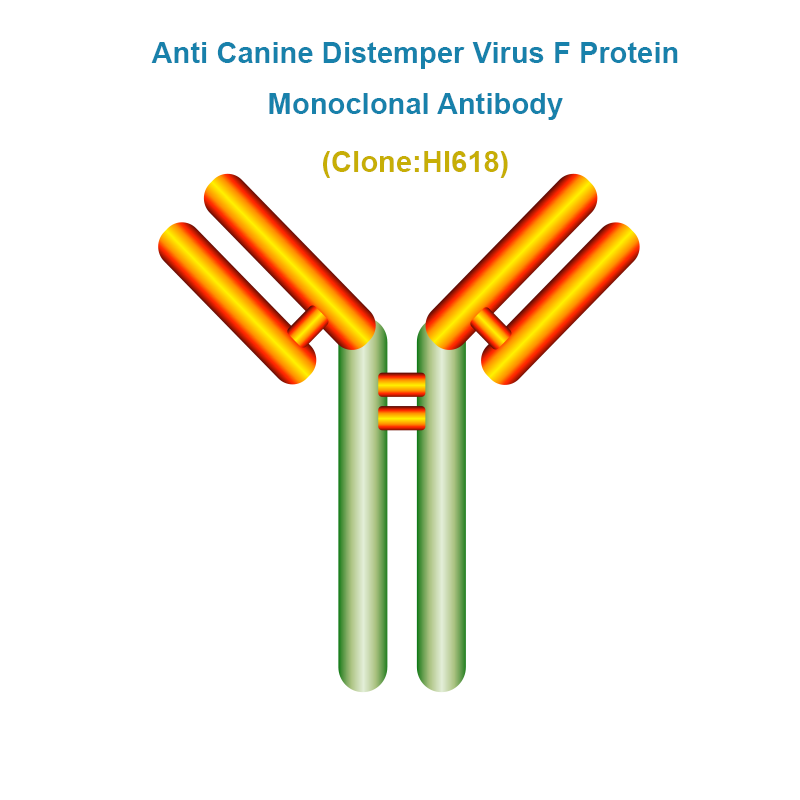 Anti Canine Distemper Virus F Protein (CDV/F) Monoclonal Antibody