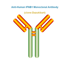 Load image into Gallery viewer, Anti-Human IFNB1 Monoclonal Antibody, Clone: Dazukibart