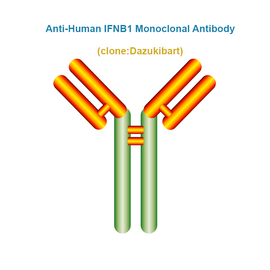 Anti-Human IFNB1 Monoclonal Antibody, Clone: Dazukibart