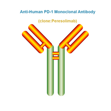 Load image into Gallery viewer, Anti-Human PD-1 Monoclonal Antibody, Clone: Peresolimab