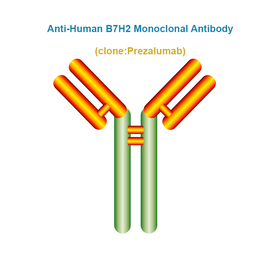 Anti-Human B7H2 Monoclonal Antibody, Clone: Prezalumab