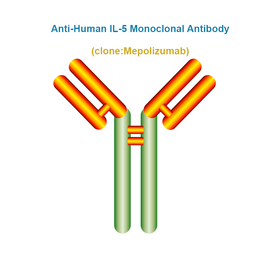 Anti-Human IL-5 Monoclonal Antibody, Clone: Mepolizumab