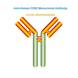 Anti-Human CD52 Monoclonal Antibody, Clone: Alemtuzumab