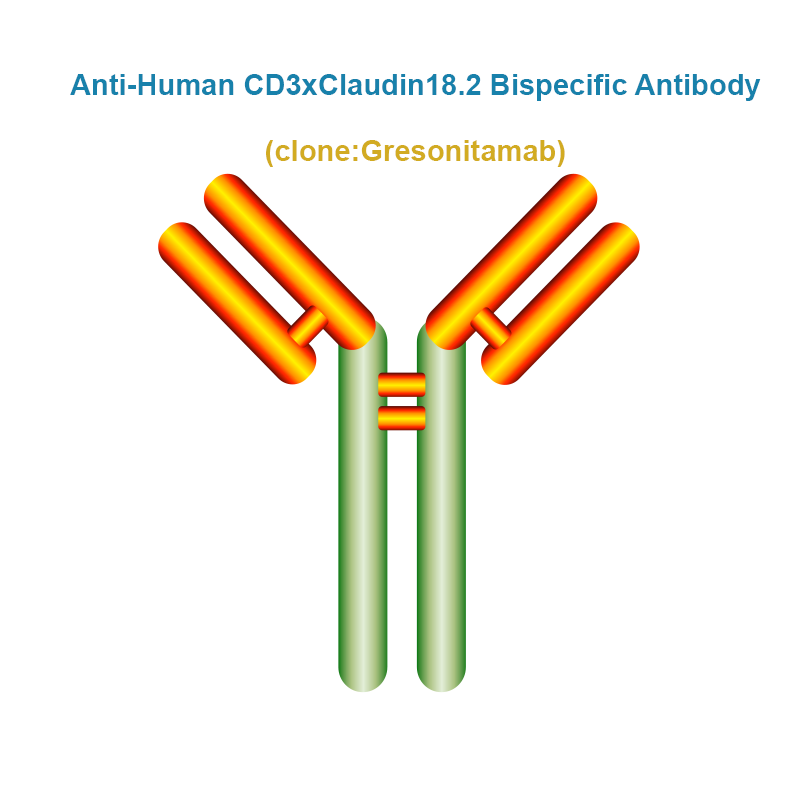 Anti-Human CD3xClaudin18.2 Bispecific Antibody, Clone: Gresonitamab