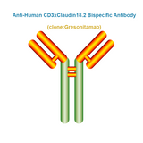 Anti-Human CD3xClaudin18.2 Bispecific Antibody, Clone: Gresonitamab
