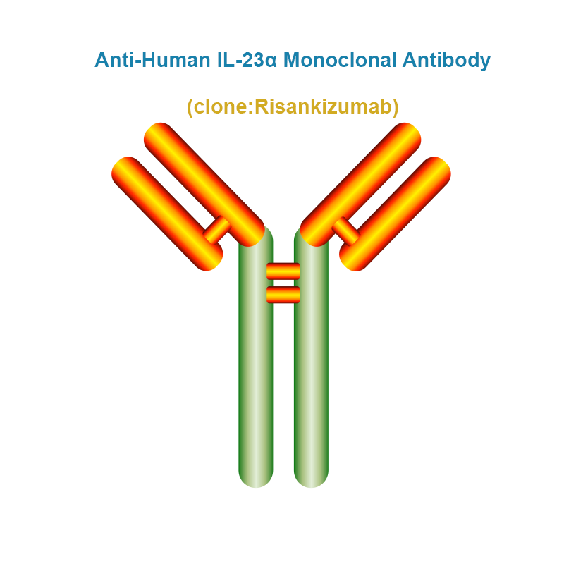 Anti-Human IL-23α Monoclonal Antibody, Clone: Risankizumab