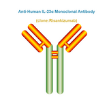 Anti-Human IL-23α Monoclonal Antibody, Clone: Risankizumab