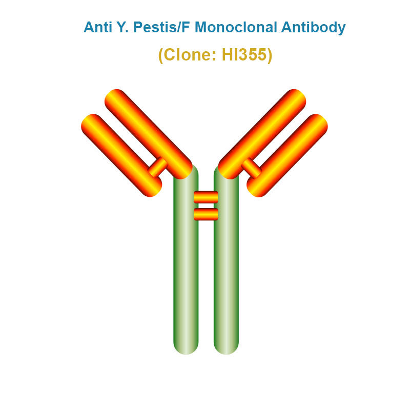 Anti Yersinia pestis F1 (Y. Pestis/F) antigen Monoclonal Antibody