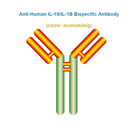 Anti-Human IL-18/IL-1B Bispecific Antibody,  clone: arumakimig, Ships in 3-5 Weeks