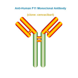 Anti-Human F11 Monoclonal Antibody,  clone: cenvacibart, Ships in 3-5 Weeks