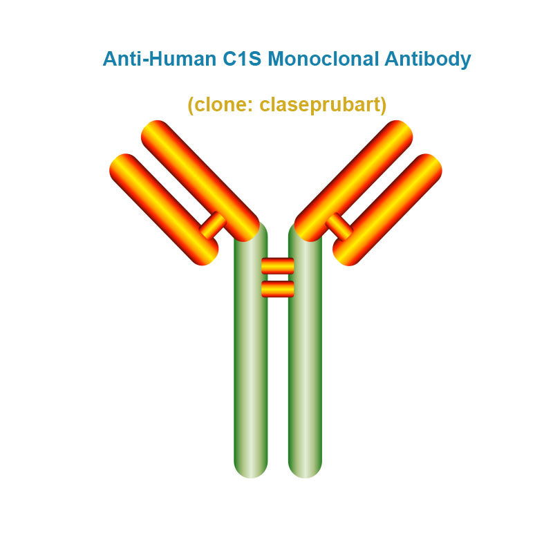 Anti-Human C1S Monoclonal Antibody,  clone: claseprubart, Ships in 3-5 Weeks