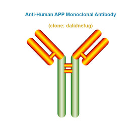 Anti-Human APP Monoclonal Antibody,  clone: dalidnetug, Ships in 3-5 Weeks