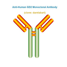 Load image into Gallery viewer, Anti-Human GD2 Monoclonal Antibody,  clone: daretabart, Ships in 3-5 Weeks
