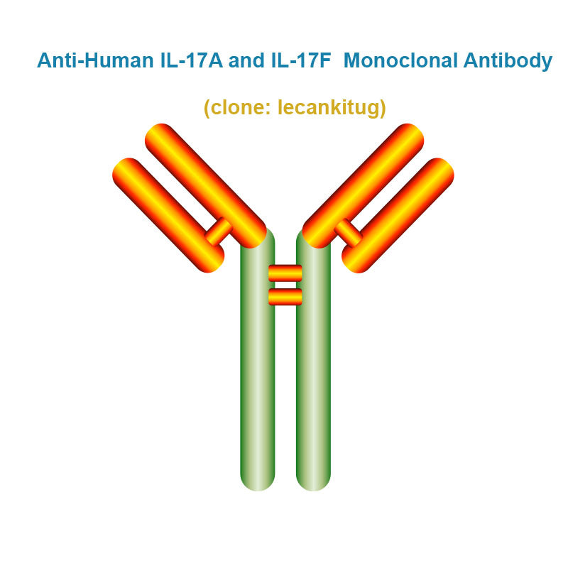 Anti-Human IL17A and IL17F Monoclonal Antibody,  clone: lecankitug, Ships in 3-5 Weeks