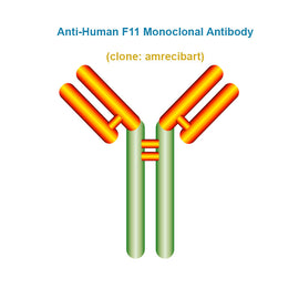 Anti-Human F11 Monoclonal Antibody,  Clone: adimanebart, Ships in 3-5 Weeks
