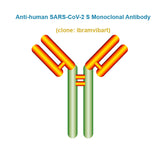 Anti-Human SARS-CoV-2 S Monoclonal Antibody,  clone: ibramvibart, Ships in 3-5 Weeks