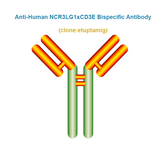 Anti-Human NCR3LG1×CD3E Bispecific Antibody,  clone: etuptamig, Ships in 3-5 Weeks