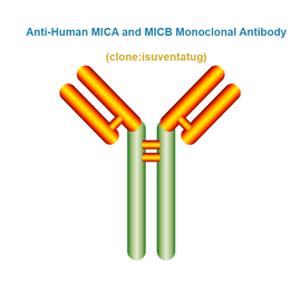 Anti-Human MICA and MICB Monoclonal Antibody,  clone: isuventatug, Ships in 3-5 Weeks