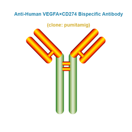 Anti-Human VEGFA×CD274 Bispecific Antibody,  clone: pumitamig, Ships in 3-5 Weeks