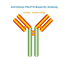 Anti-Human F9a×F10 Bispecific Antibody,  clone: zemocimig, Ships in 3-5 Weeks