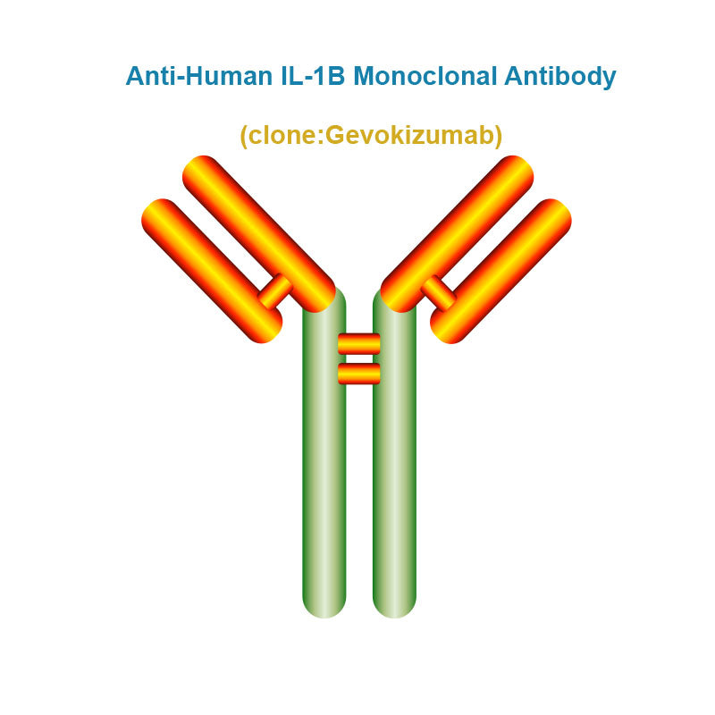 Anti-Human IL-1B Monoclonal Antibody, Clone: Gevokizumab