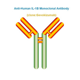 Anti-Human IL-1B Monoclonal Antibody, Clone: Gevokizumab