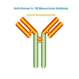 Anti-Human IL-1B Monoclonal Antibody, Clone: Gevokizumab