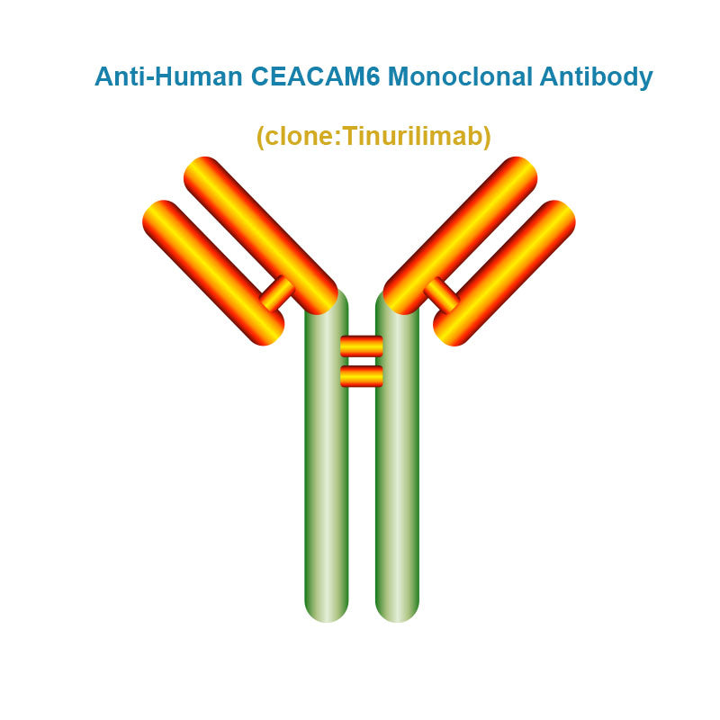Anti-Human CEACAM6 Monoclonal Antibody, Clone: Tinurilimab