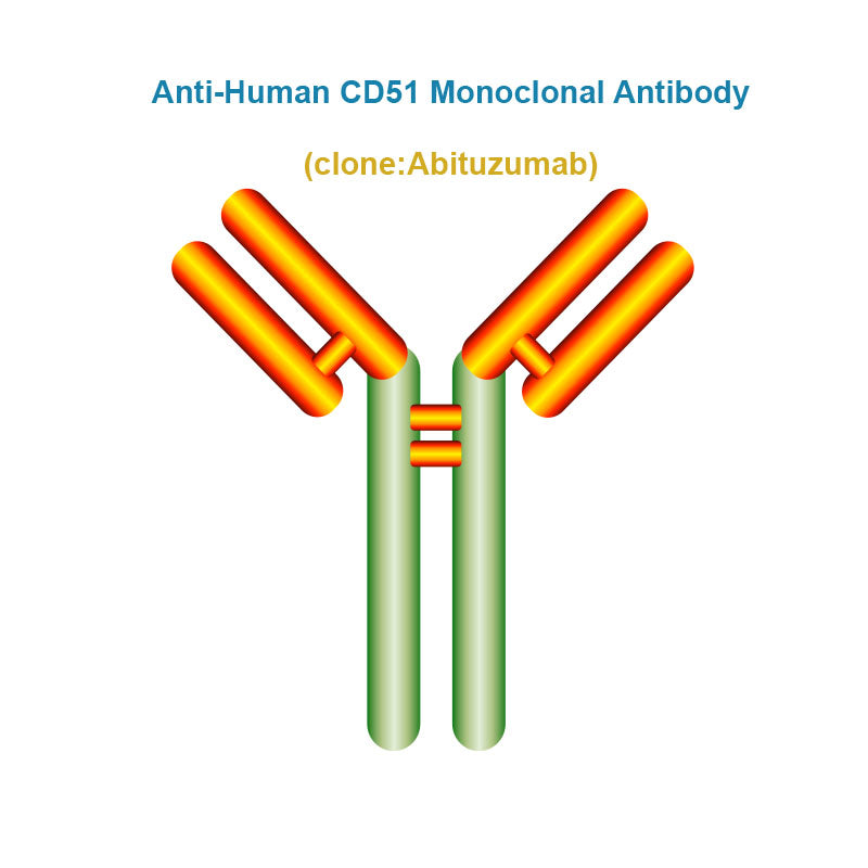 Anti-Human CD51 Monoclonal Antibody, Clone: Abituzumab