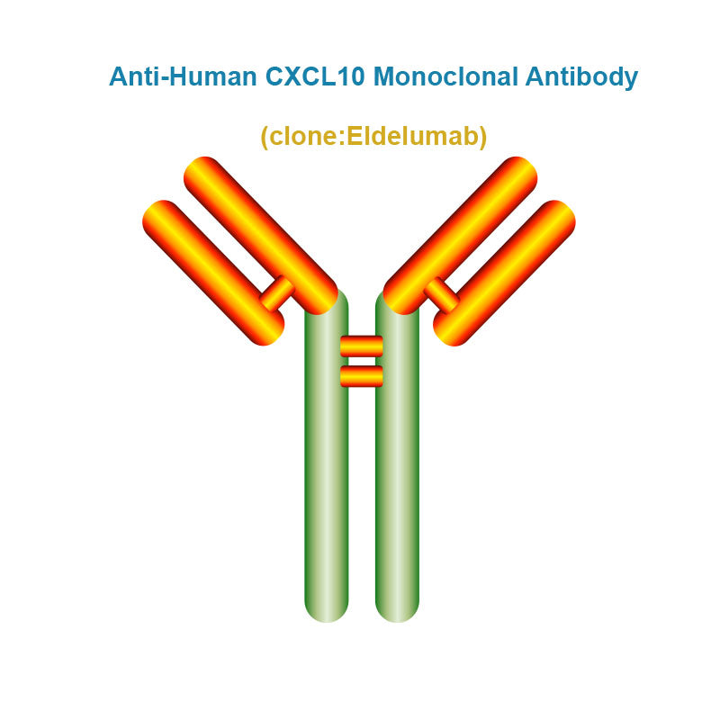 Anti-Human CXCL10 Monoclonal Antibody, Clone: Eldelumab