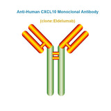 Anti-Human CXCL10 Monoclonal Antibody, Clone: Eldelumab