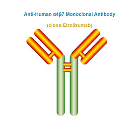 Anti-Human α4β7 Monoclonal Antibody, Clone: Etrolizumab