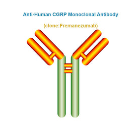 Anti-Human CGRP Monoclonal Antibody, Clone: Fremanezumab