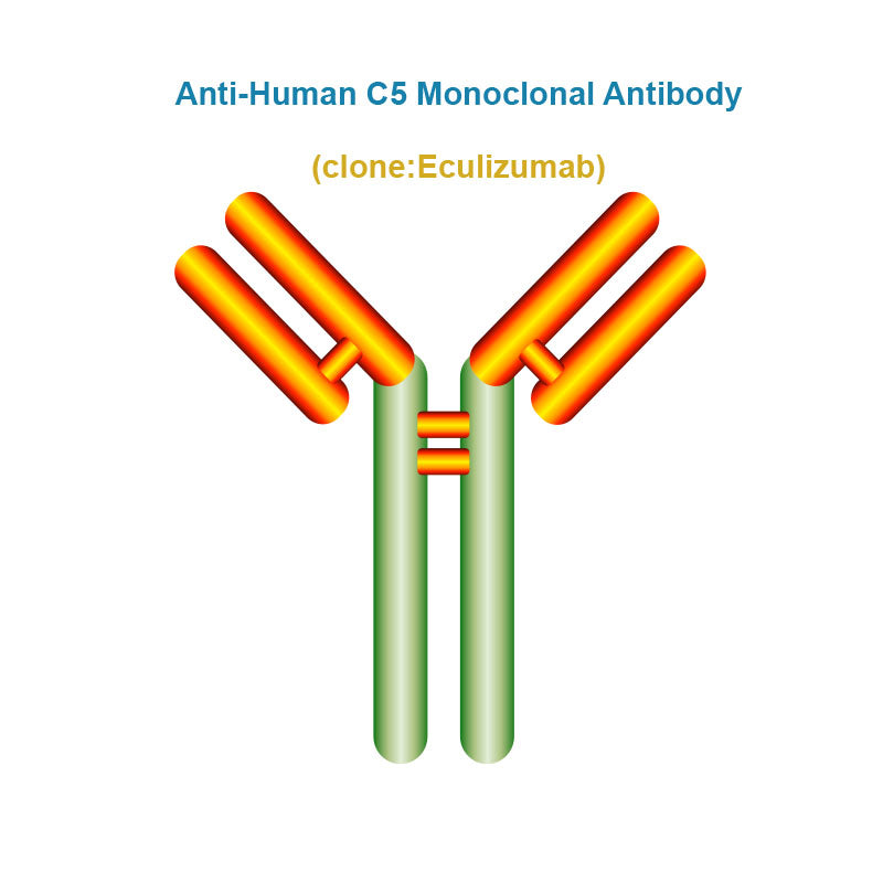 Anti-Human C5 Monoclonal Antibody, Clone: Eculizumab