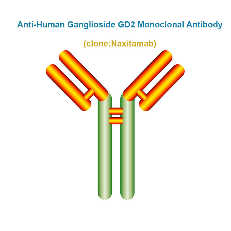 Anti-Human Ganglioside GD2 Monoclonal Antibody, Clone: Naxitamab