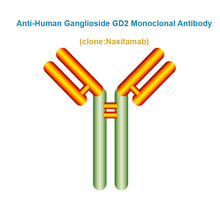 Load image into Gallery viewer, Anti-Human Ganglioside GD2 Monoclonal Antibody, Clone: Naxitamab