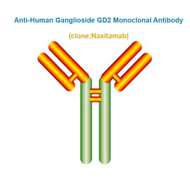 Anti-Human Ganglioside GD2 Monoclonal Antibody, Clone: Naxitamab