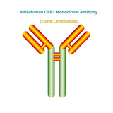 Anti-Human CSF2 Monoclonal Antibody, Clone: Lenzilumab