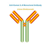 Anti-Human IL-6 Monoclonal Antibody, Clone: Olokizumab