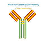 Anti-Human CD3E Monoclonal Antibody, Clone: Otelixizumab