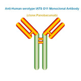 Anti-Human serotype IATS O11 Monoclonal Antibody, Clone: Panobacumab