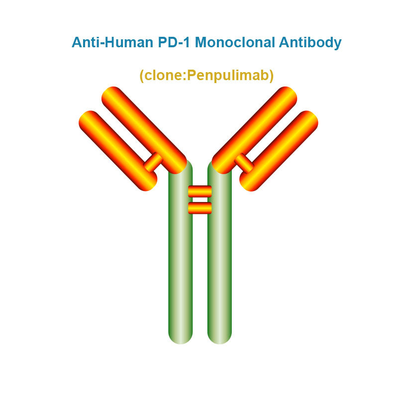 Anti-Human PD-1 Monoclonal Antibody, Clone: Penpulimab