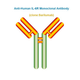 Anti-Human IL-6R Monoclonal Antibody, Clone: Sarilumab