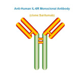 Anti-Human IL-6R Monoclonal Antibody, Clone: Sarilumab