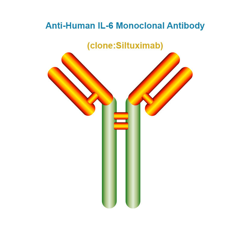 Anti-Human IL-6 Monoclonal Antibody, Clone: Siltuximab