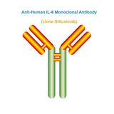 Anti-Human IL-6 Monoclonal Antibody, Clone: Siltuximab